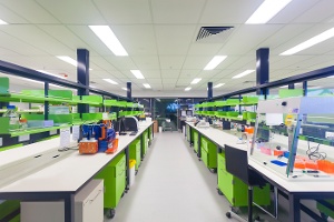 bet lab test bench