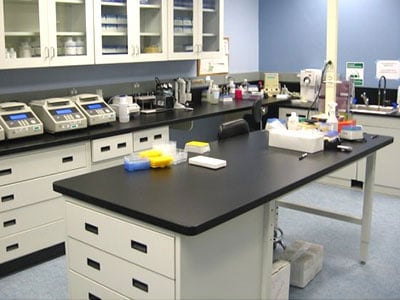 Top 5 Materials To Consider For Your Lab Countertops