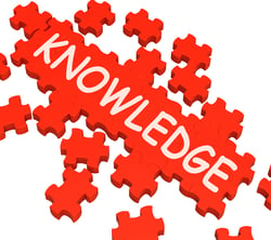 knowledge-puzzle-showing-intelligence-and-wisdom_G1M-47vO (1)